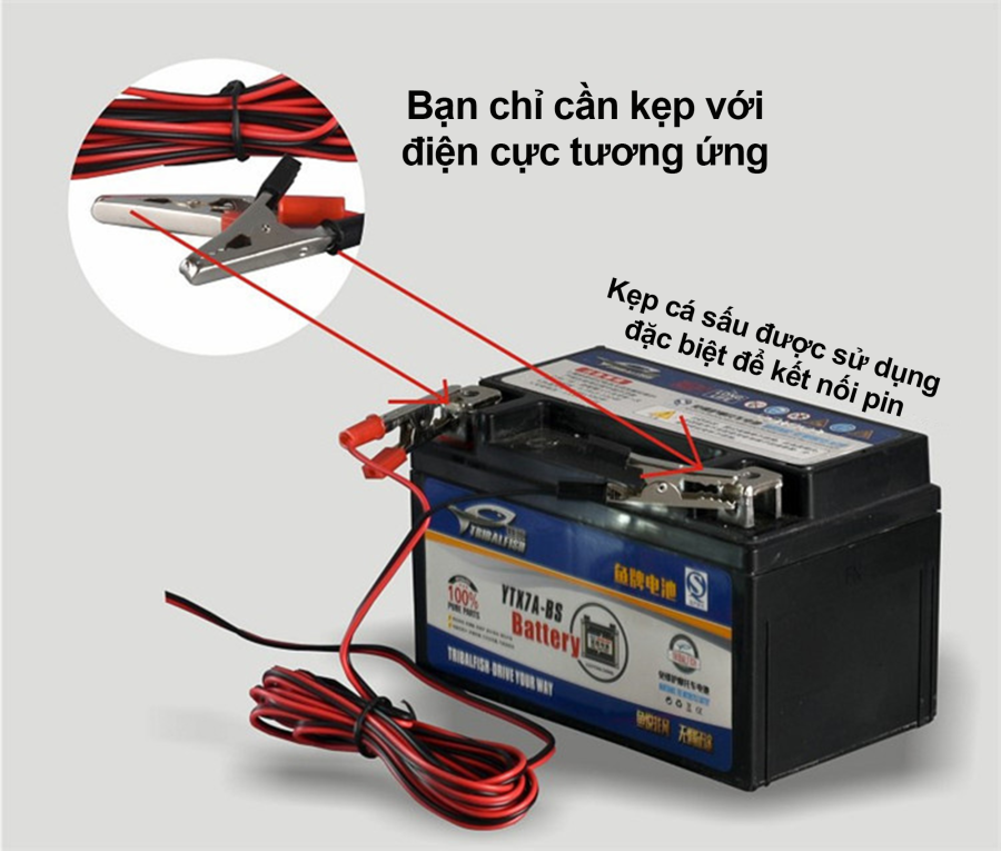 Bóng đèn led kẹp bình