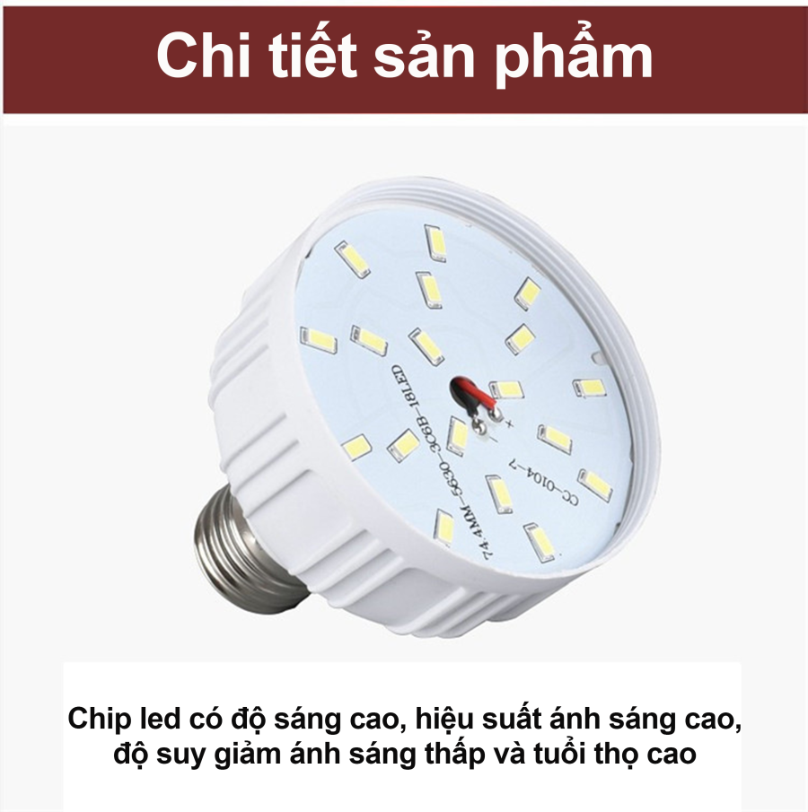 Bóng đèn led kẹp bình